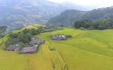 Mùa vàng Hoàng Su Phì qua ống kính flycam